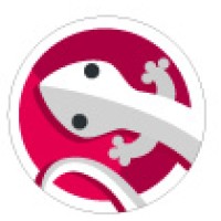 Siti Web e Grafica logo - Similar company to Blu Fast