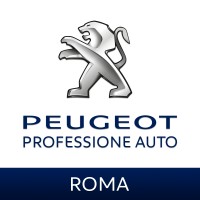 Professione Auto S.r.l. logo - Similar company to A. Gierre Auto Srl