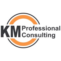 KM Professional Consulting logo - Similar company to Ebsdotcoza (Pty) Ltd