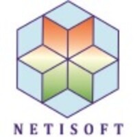 NetiSoft Consultants logo - Similar company to Bigberry Techno Solutions Llp