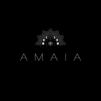 AMAIA logo - Similar company to Mj Globus Llc