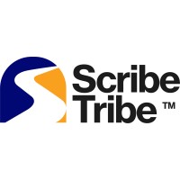 ScribeTribe Africa logo - Similar company to Ascendynamics Nfp