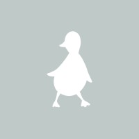 Ducks In A Row logo - Similar company to Gutenberg Certs Corp