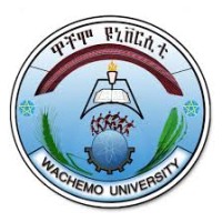 Wachemo University logo - Similar company to Sph