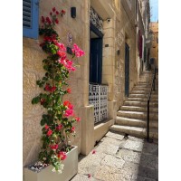 The Moon Malta Boutique Guesthouse logo - Similar company to First Malta