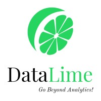 DataLime logo - Similar company to Dataprism