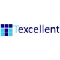 Texcellent logo - Similar company to Procareer Academy