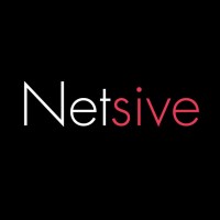 Netsive logo - Similar company to Adrias