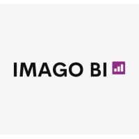 IMAGO BI logo - Similar company to Esb Digital