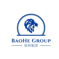 BaoHe Group logo - Similar company to Ascent Corporate Solutions