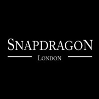 Snapdragon | London logo - Similar company to Mirage Parties