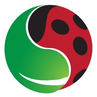 Licata Clean Service logo - Similar company to F.Lli Romano S.R.L.