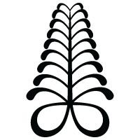Aya Development Collective