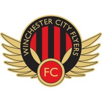 Winchester City Flyers logo - Similar company to Afc Stoneham