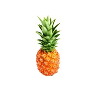 Pineapple Tours logo - Similar company to Devon Pixies