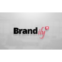 BrandILY logo - Similar company to Brandily Uk