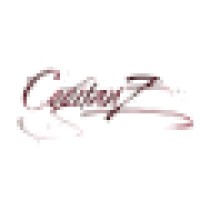 CogitanZ logo - Similar company to Itlav Srl