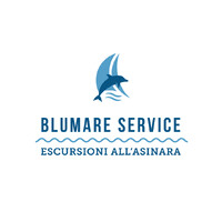 Blumare Service Srl logo - Similar company to Italia Didacta