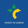 INVEST IN GABON (ANPI-Gabon) logo - Similar company to Gogo Africa
