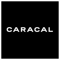 Caracal logo - Similar company to Vr Agency