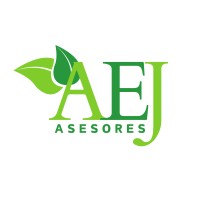 AEJ Asesores logo - Similar company to S.E.A.E. S.L. Consultoria Energética