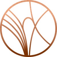 PhoeniX17 logo - Similar company to Invasystems Inc