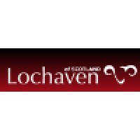 Lochaven International Ltd logo - Similar company to Lode Group Ltd