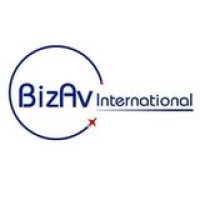 BizAv International logo - Similar company to Digital Control