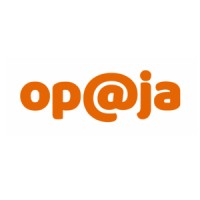 Opaja Consulting Oy