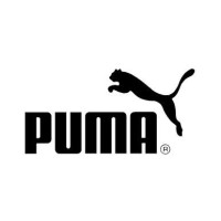 PUMA China Limited logo - Similar company to Purchased