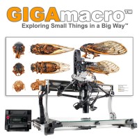 Gigamacro