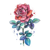 IT Company Roza logo - Similar company to Blossom