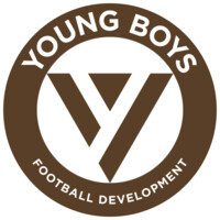 Young Boys FD logo - Similar company to Webbler Aps