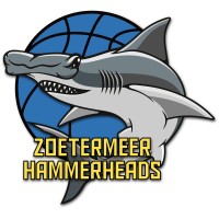 Zoetermeer Hammerheads logo - Similar company to Transition It