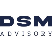 DSM ADVISORY logo - Similar company to Level