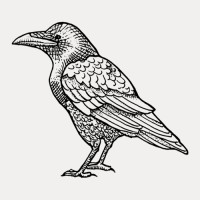Bevara logo - Similar company to Bevara
