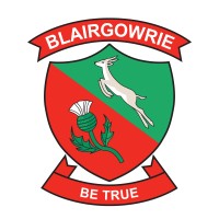 Blairgowrie Primary logo - Similar company to Wdcom