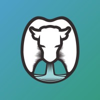 Dentorino logo - Similar company to Bplus