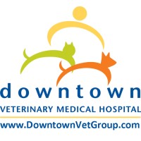 Downtown Veterinary Medical Hospitals logo - Similar company to Kola Global