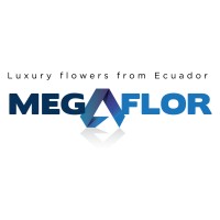 Megaflor logo - Similar company to Disaluvhid