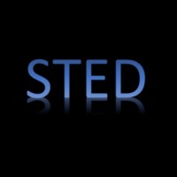 Sted Traslados logo - Similar company to Governance Process And Dignity Bureau