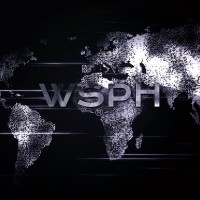 WSPH logo - Similar company to Wsph Partners