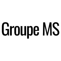 Groupe MS logo - Similar company to Dab Spain