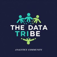 THE DATA TRIBE logo - Similar company to Data Punks