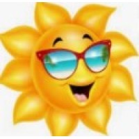 Sunshine & Sass Travel logo - Similar company to Pro Rite Supplements