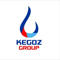 Kegoz Group logo - Similar company to Elroi Global Services Ltd