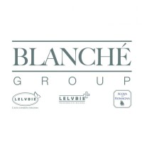 Blanché Group logo - Similar company to Progetto Burò