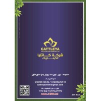 شركة كاتليا للكيماويات logo - Similar company to Auto Hayes