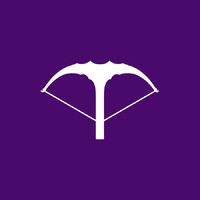 Vincross logo - Similar company to Toocaa
