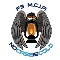 F3 Missing Children's Intelligence Agency logo - Similar company to Valhil Advisors